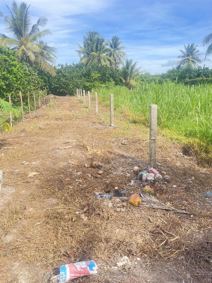 CẦN BÁN ĐẤT GIÁ RẺ 295TRIỆU - MỸ PHONG