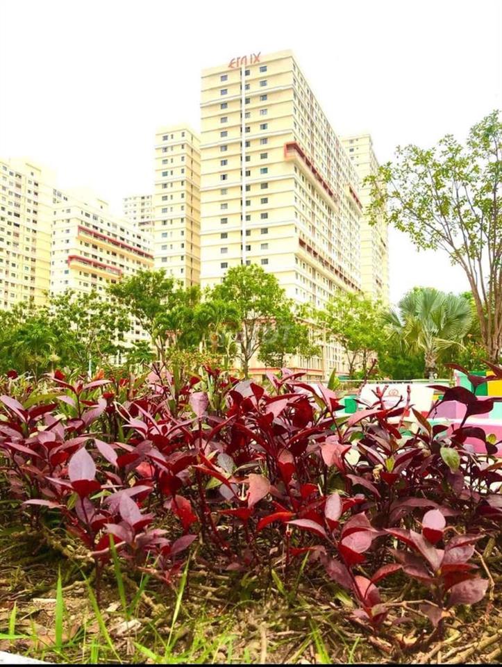 phòng căn hộ chung cư Quận 7