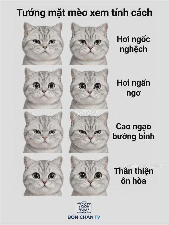 Bán đất giá tốt