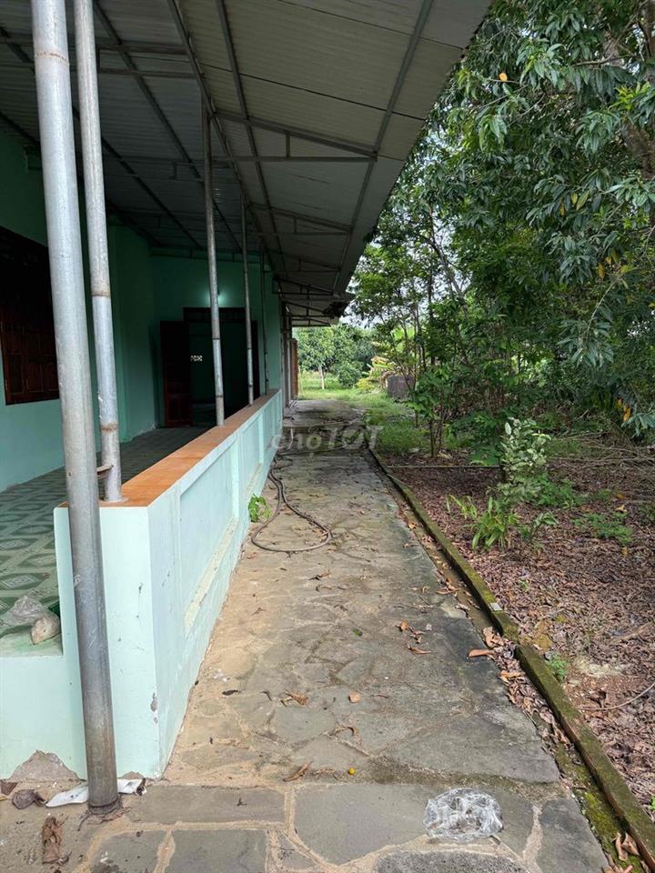 cần bán đất