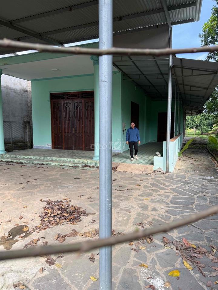 cần bán đất
