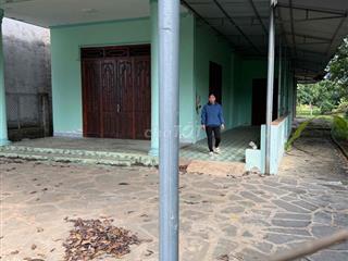 cần bán đất