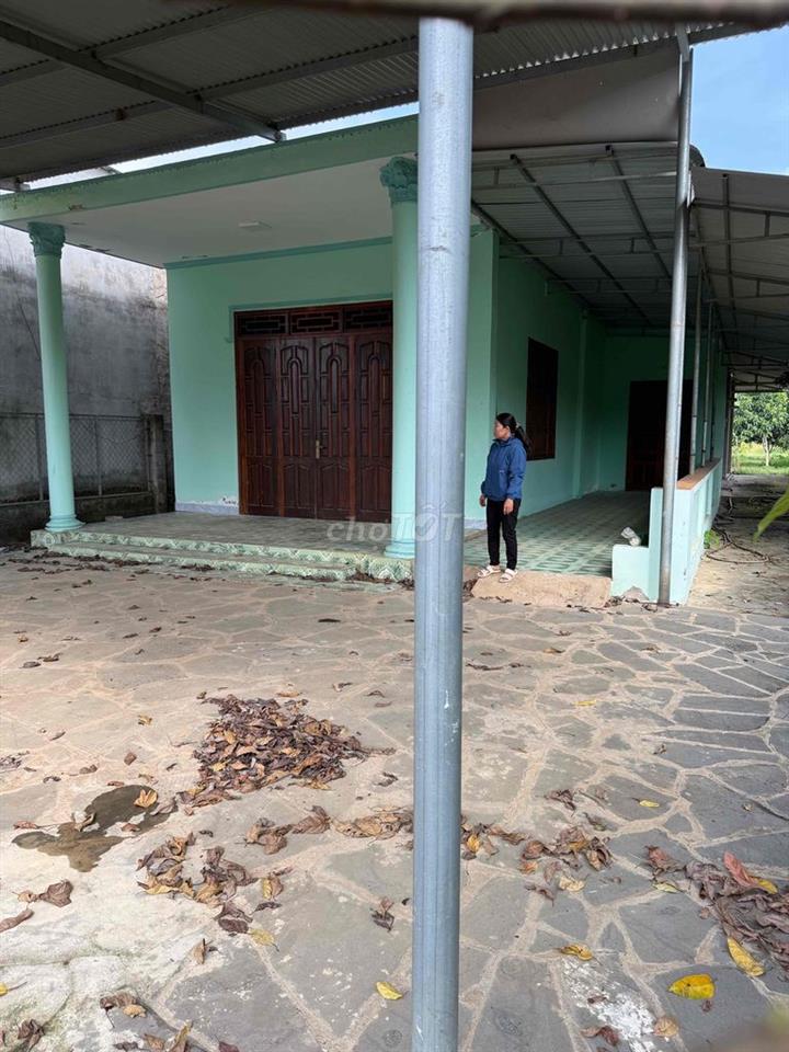 cần bán đất