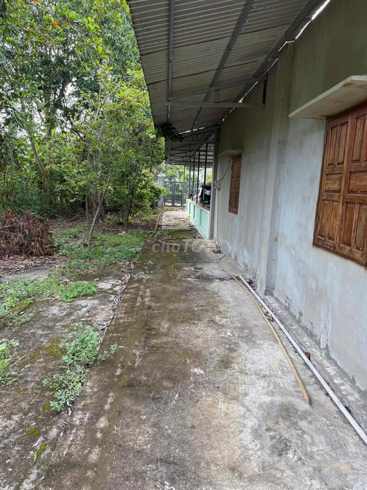 cần bán đất