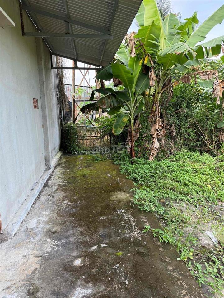 cần bán đất