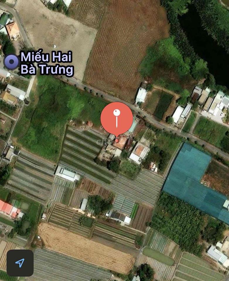 bán nhà đất 2059m2 thổ cư 562m2, tại Xã Mỹ Lộc, H Cần Giuộc, Long An