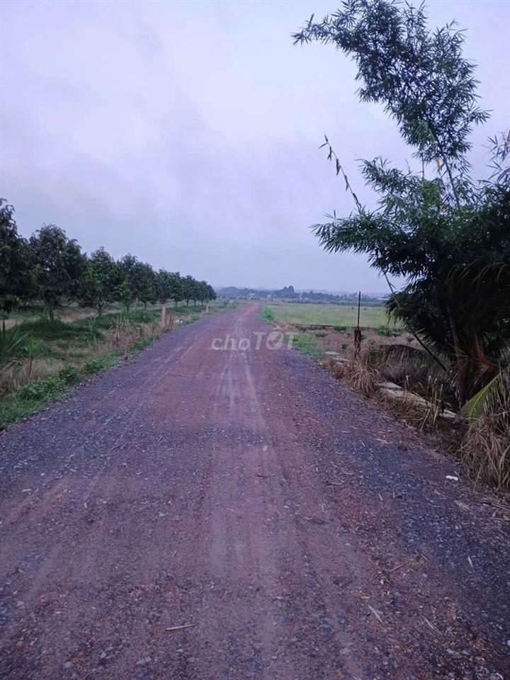 KHU KHẢO CỔ HỌC CÁT TIÊN