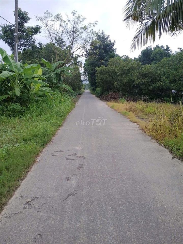 KHU KHẢO CỔ HỌC CÁT TIÊN