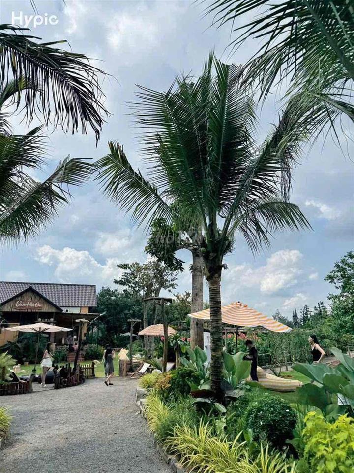 🌿 CHO THUÊ VILLA DÀI HẠN – SỐNG GIỮA KHU VƯỜN 10.000M² 🏡