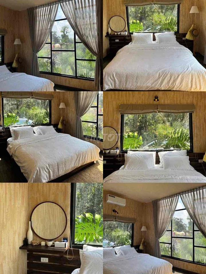 🌿 CHO THUÊ VILLA DÀI HẠN – SỐNG GIỮA KHU VƯỜN 10.000M² 🏡