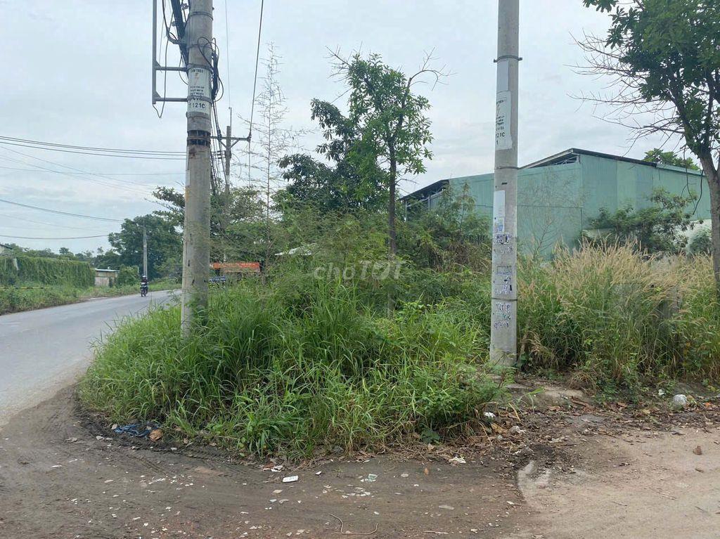 CHO THUÊ ĐẤT 2 MẶT TIỀN VÕ VÀN BÍCH, BÌNH MỸ, CỦ CHI