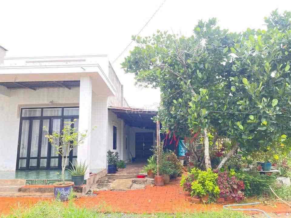 NHÀ VƯỜN 600M2 GIÁ 650 TRIỆU SIÊU ÊM TẠI BÌNH DƯƠNG!