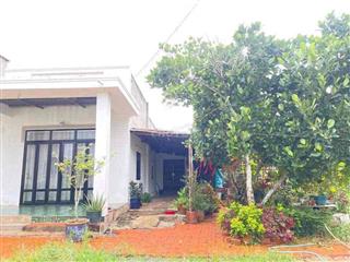 NHÀ VƯỜN 600M2 GIÁ 650 TRIỆU SIÊU ÊM TẠI BÌNH DƯƠNG!