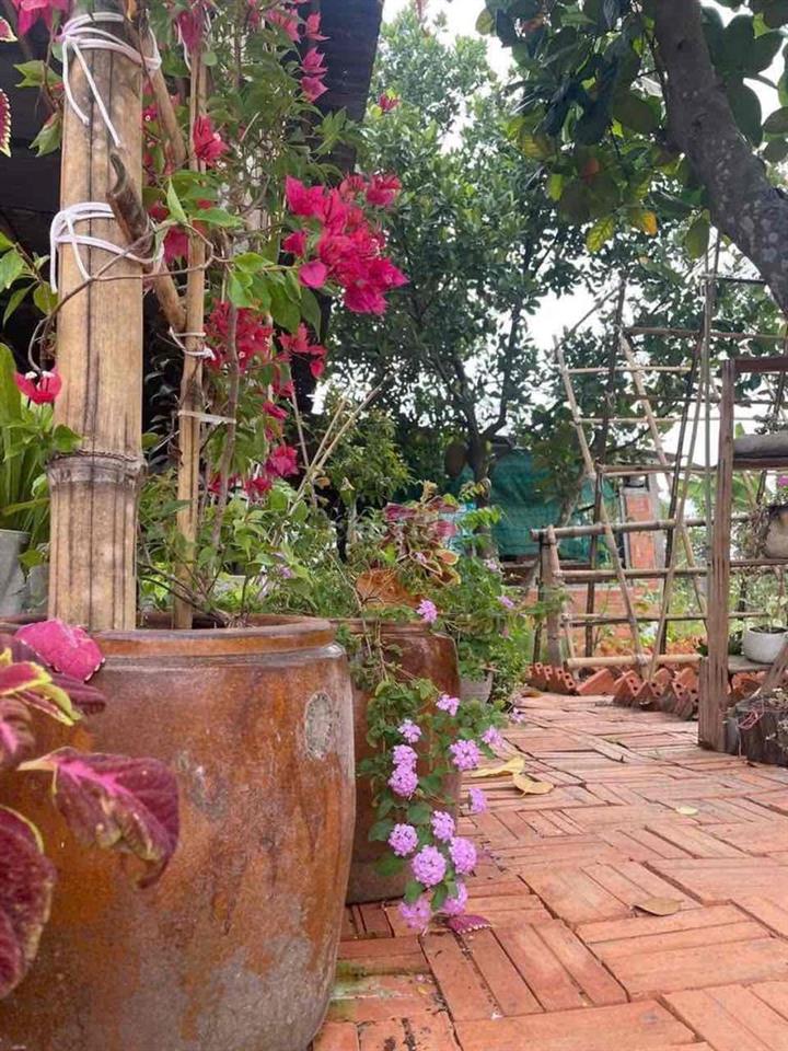 NHÀ VƯỜN 600M2 GIÁ 650 TRIỆU SIÊU ÊM TẠI BÌNH DƯƠNG!