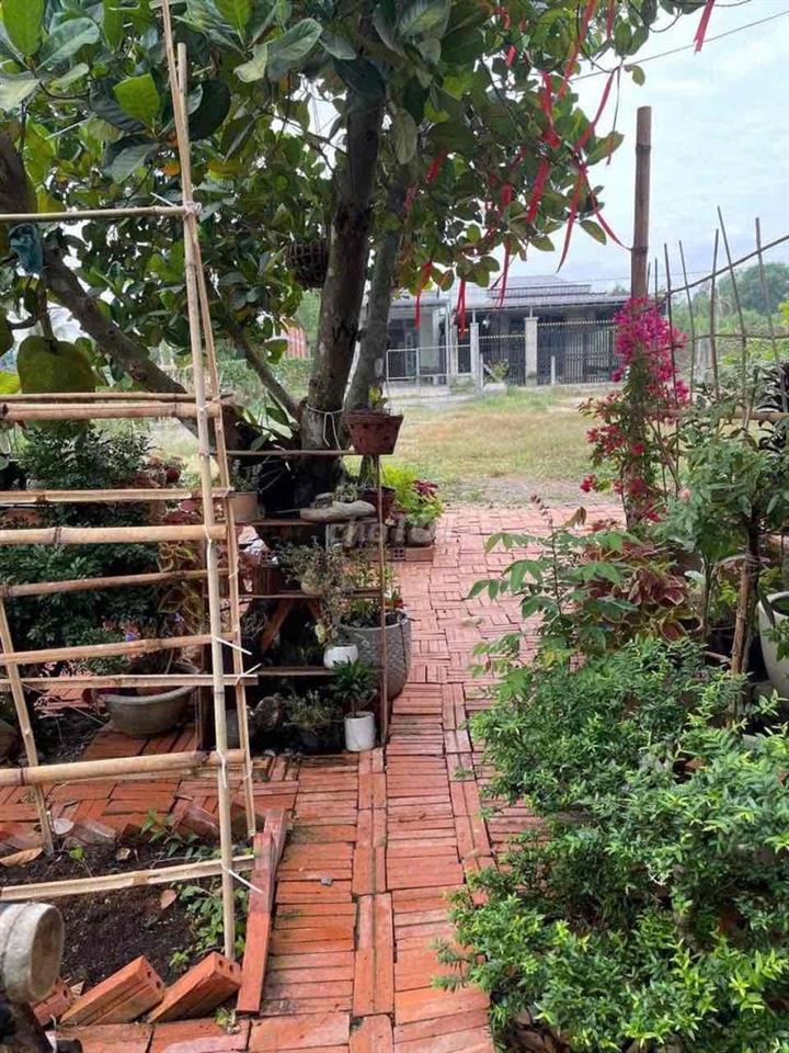 NHÀ VƯỜN 600M2 GIÁ 650 TRIỆU SIÊU ÊM TẠI BÌNH DƯƠNG!