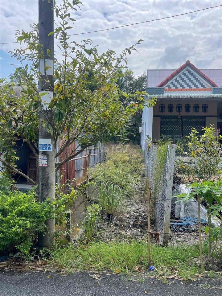 BÁN ĐẤT GIÁ RẺ  – PHỤNG HIỆP, HẬU GIANG