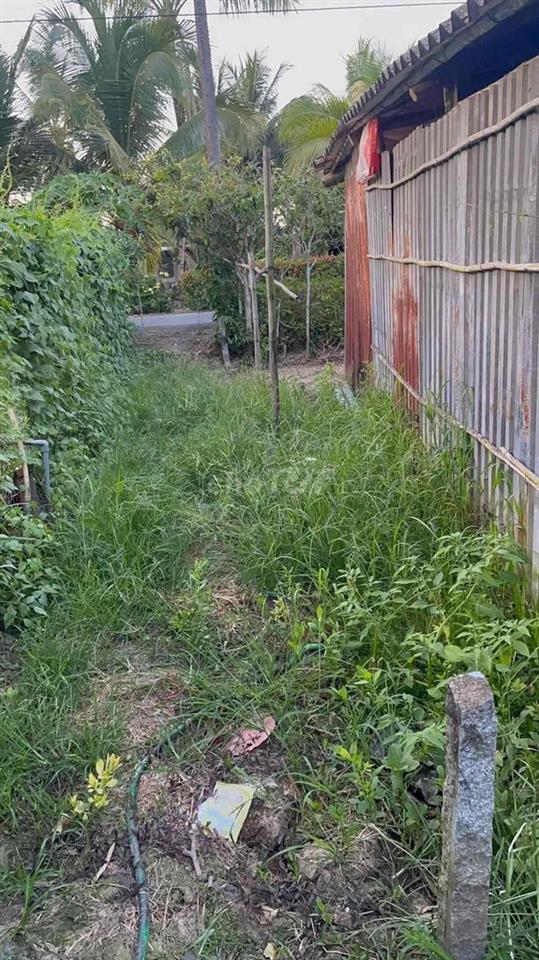 BÁN ĐẤT GIÁ RẺ  – PHỤNG HIỆP, HẬU GIANG