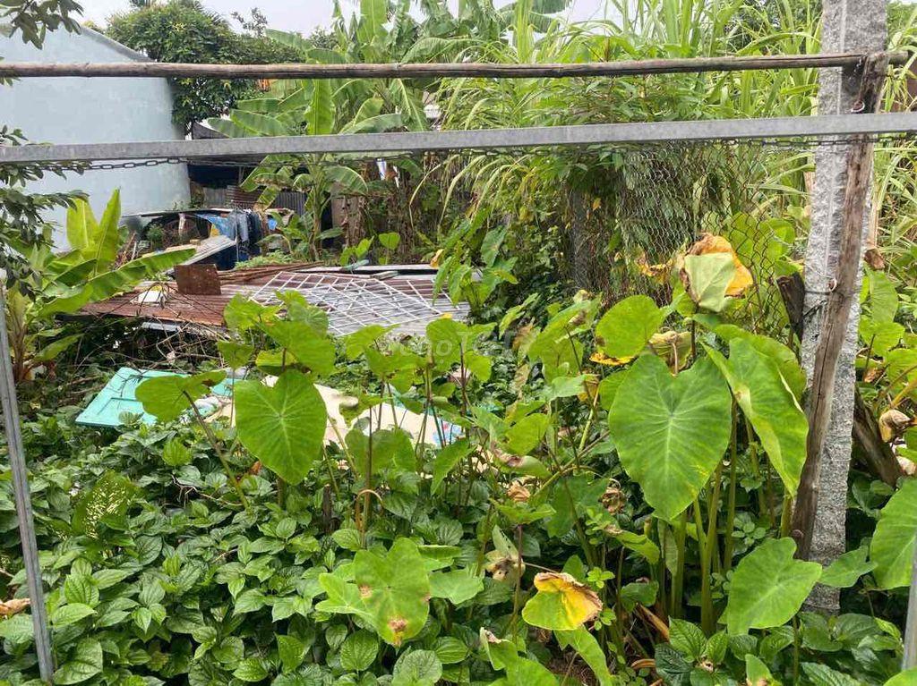 Tôi cần bán đất nền nông nghiệp, chính chủ