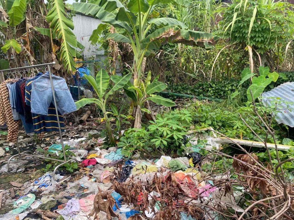 Tôi cần bán đất nền nông nghiệp, chính chủ
