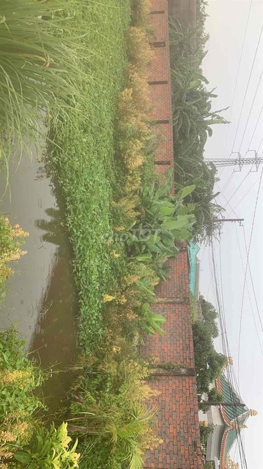 cho thuê đất Bình Chánh