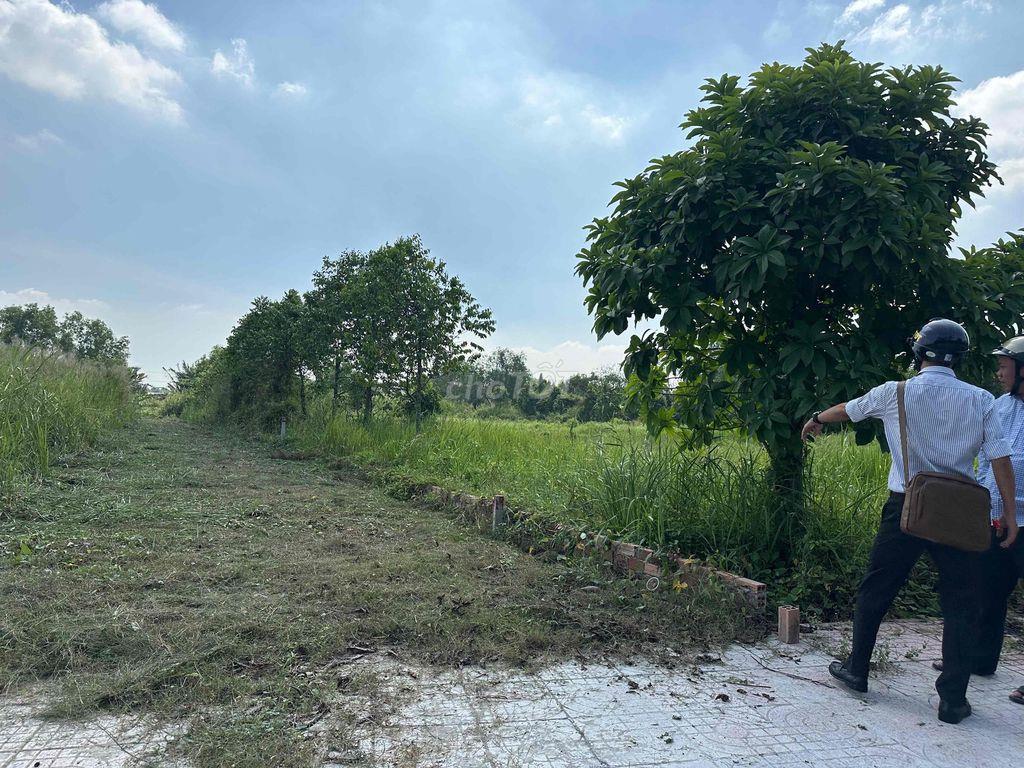 Đất nền kdc xay dung tu do