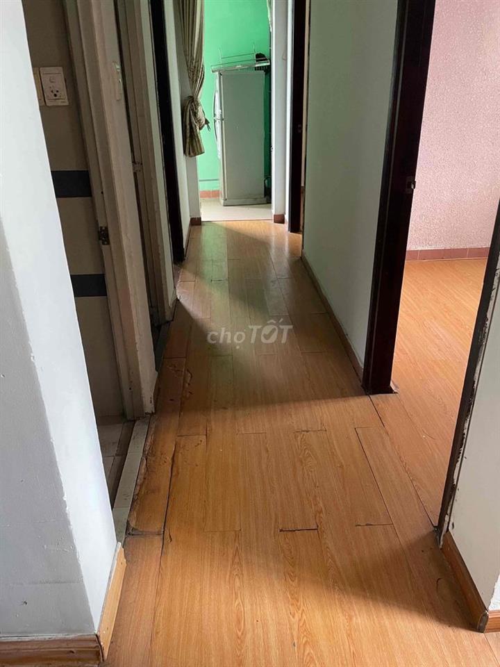 Phòng chung cư cách UEH, BK 15p Q11