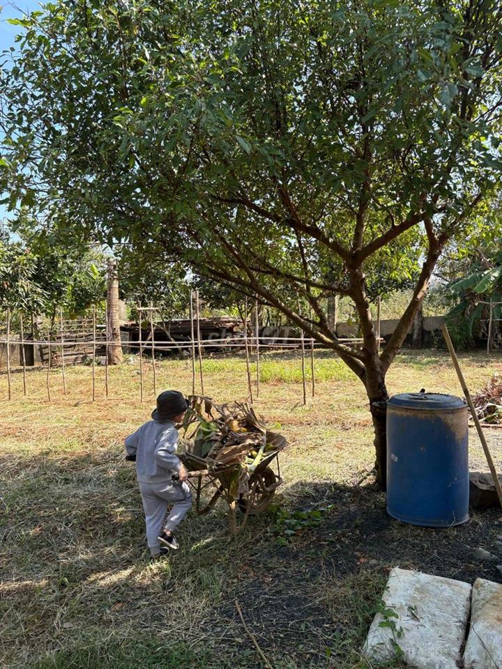 cho thuê nhà vườn đường liên thôn 8 gần đoàn thành