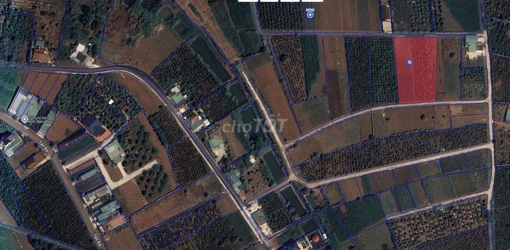 Đất đẹp Lộc Phát nay là Phường 1 Bảo Lộc