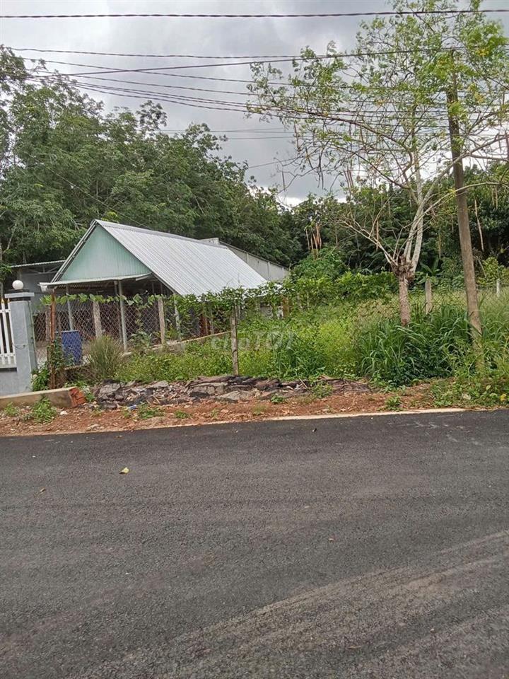 Bán đất mặt tiền Thị trấn Dầu Tiếng