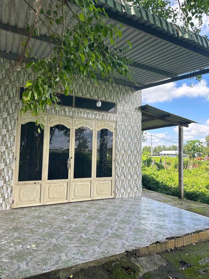 CHO THUÊ NHÀ SÂN VƯỜN XÃ ĐỨC LẬP TỈNH LONG AN