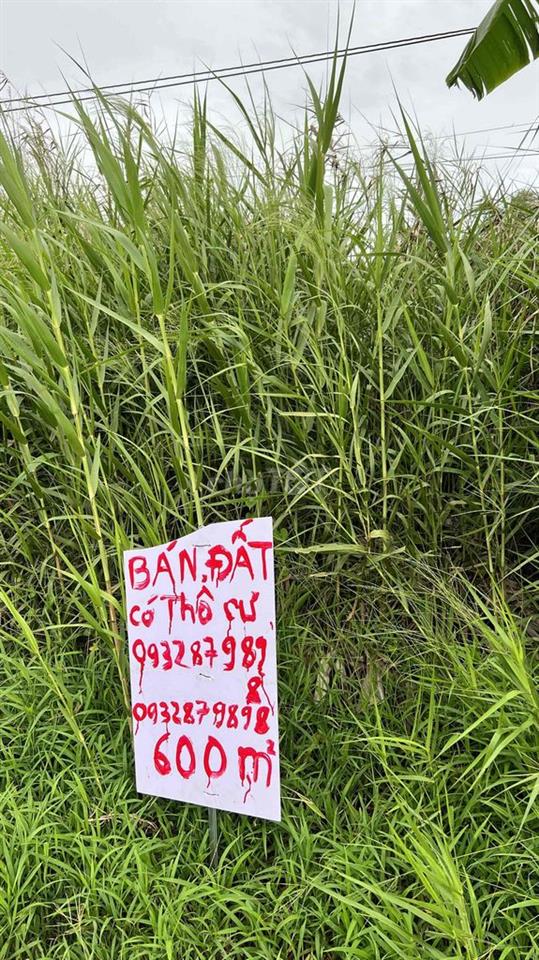 Đất mặt tiền 2 sổ có 65m2 thổ cư