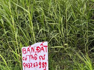 Đất mặt tiền 2 sổ có 65m2 thổ cư