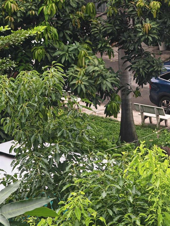 Cho thuê nhà nguyên căn làm phòng trọ cho sv thuê!