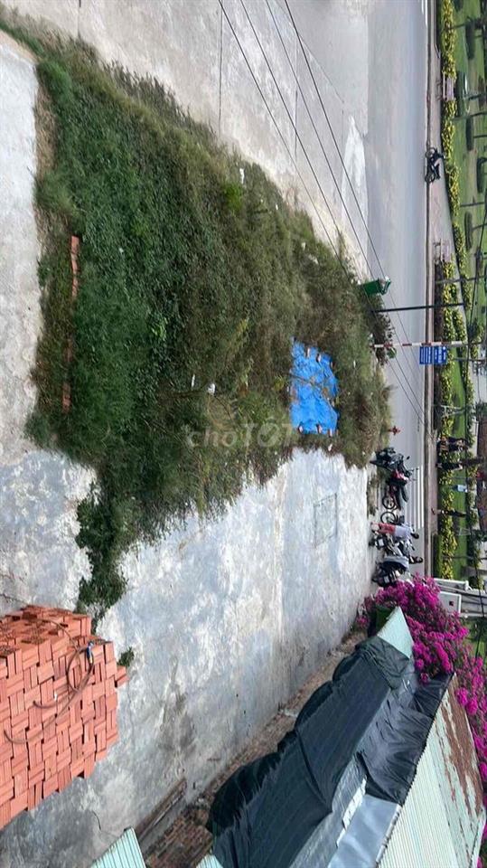 Cho Thuê đất Kinh Doanh