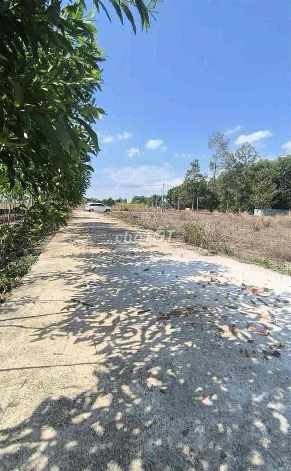 chính chủ cần bán đất