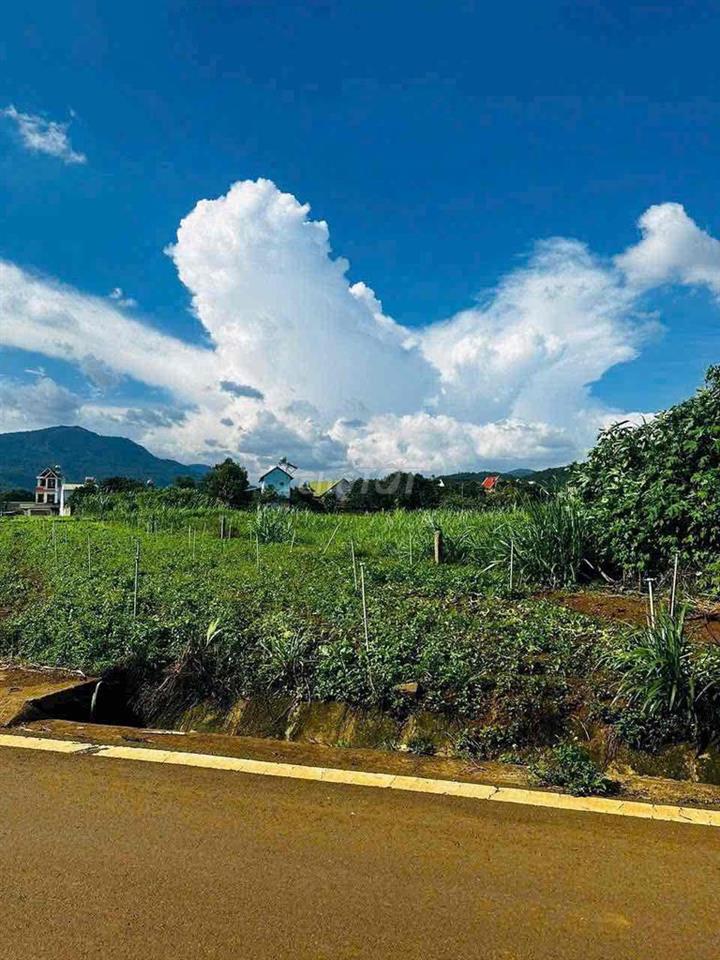 CHỐT TRONG 15 NGÀY