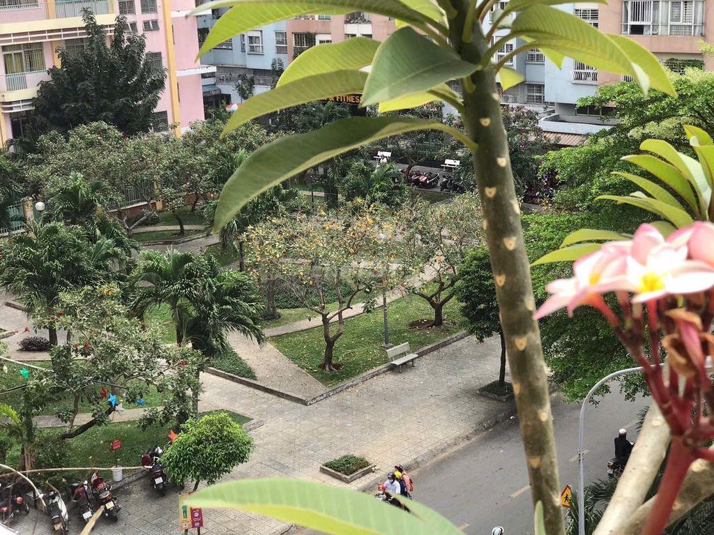 Cho thuê chung cư 100m2 11 triệu