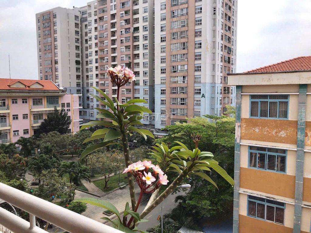 Cho thuê chung cư 100m2 11 triệu