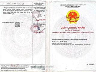 Cần bán gấp căn chung cư Hồng Loan 6A