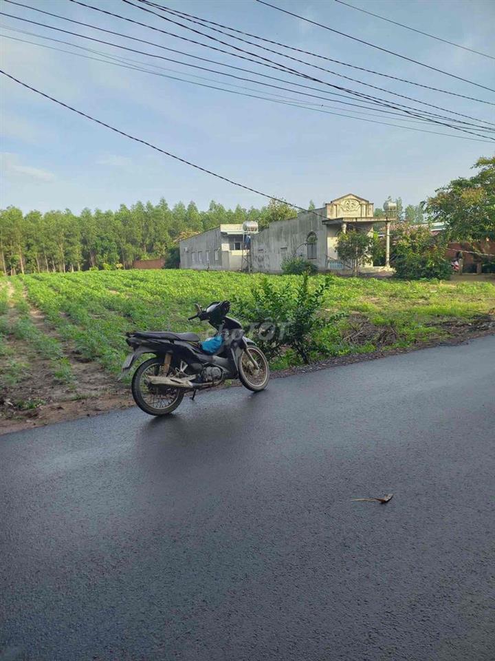 cần bán miếng đất thổ cư mặt tiền đường trong