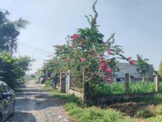 1/ Nguyễn Thị Dưỡng (lô Gốc) giá Ngân Hàng