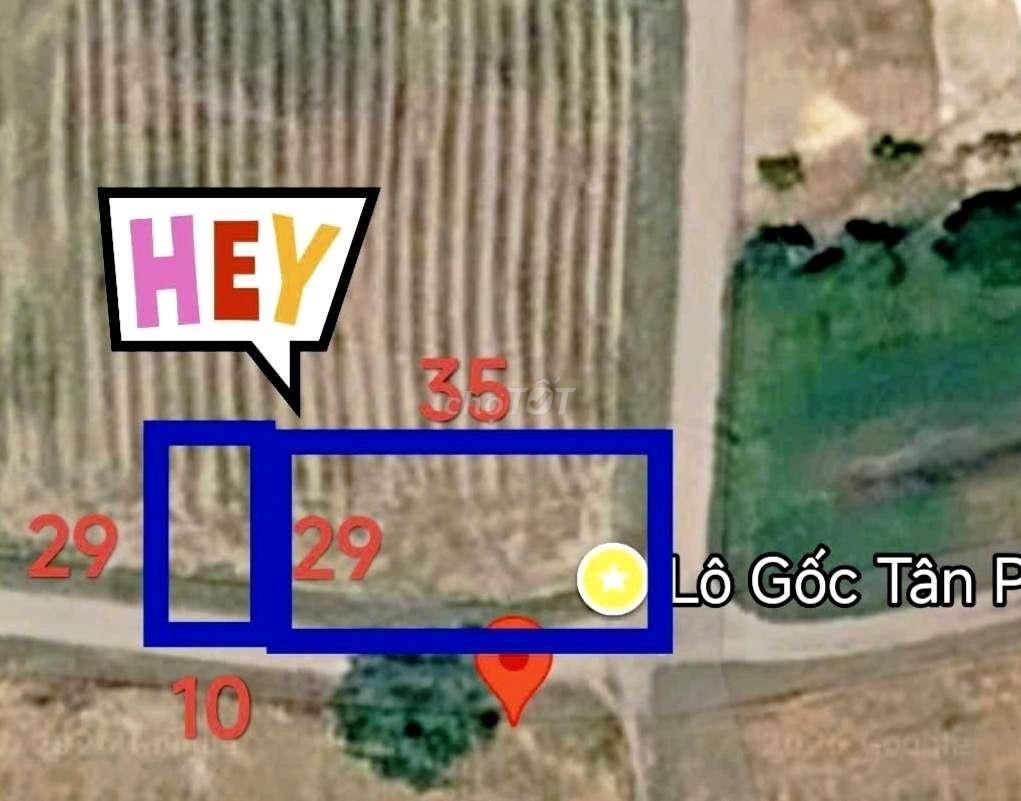 Đất Xã Tân Phú, Đúc Hòa, Long An giá tốt