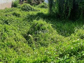 Bán đất Tiền Giang