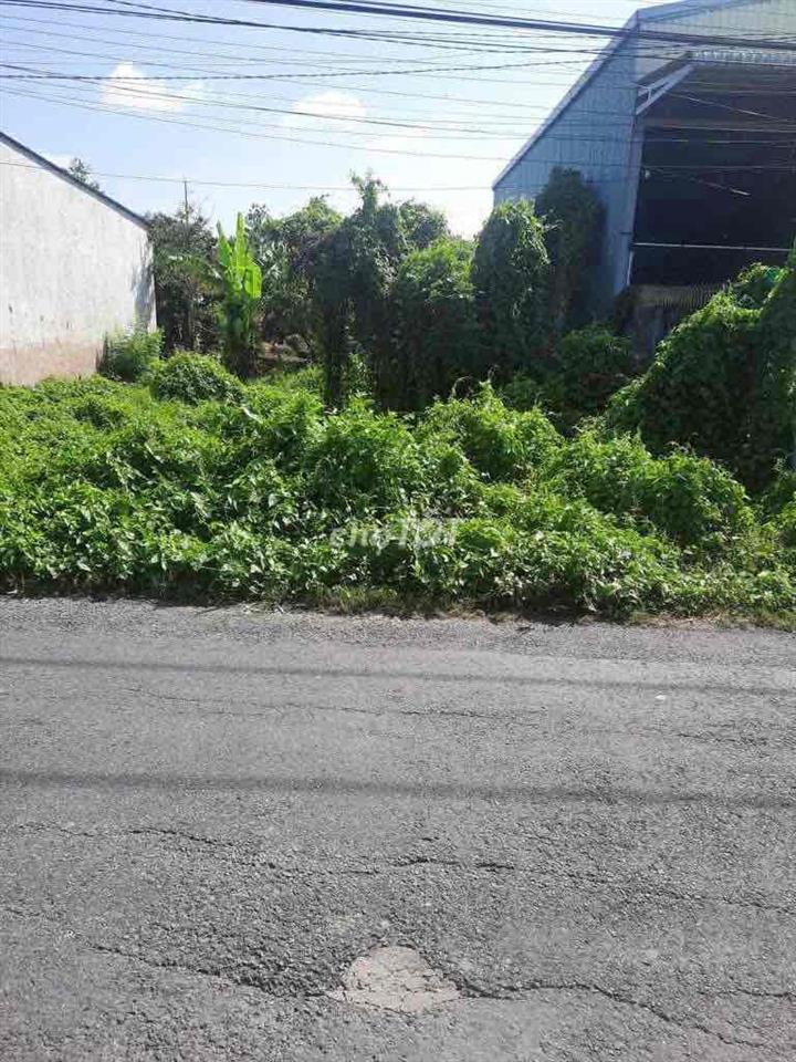 Bán đất Tiền Giang