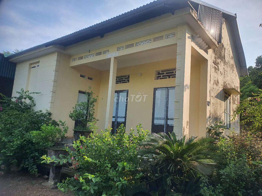 ĐẤT ĐẸP BA VÌ