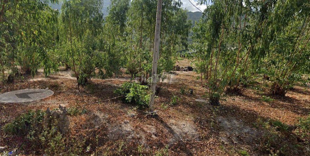 Bán đất 2665m² ngang 42,5m giá 17 tỷ Phường Tân Hải, 800m thổ cư
