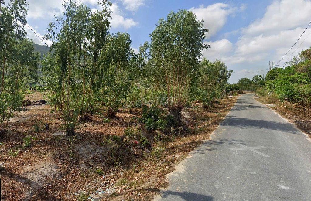 Bán đất 2665m² ngang 42,5m giá 17 tỷ Phường Tân Hải, 800m thổ cư