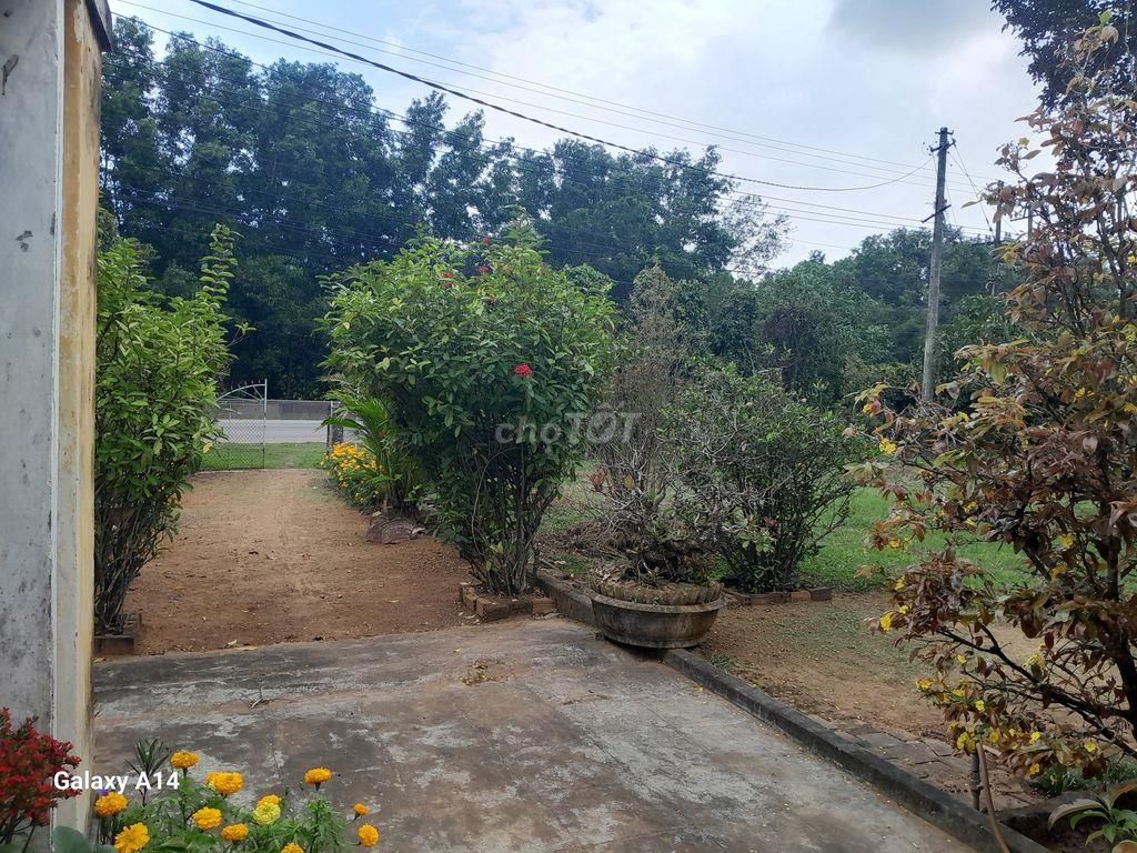 BÁN ĐẤT MẶT TIỀN QUỐC LỘ 1A