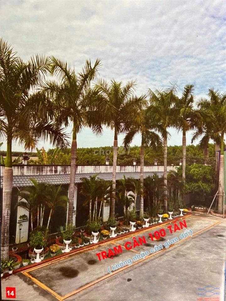 CHO THUÊ ĐẤT - KHO - XƯỞNG - GIÁ RẺ