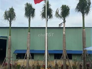 CHO THUÊ ĐẤT - KHO - XƯỞNG - GIÁ RẺ